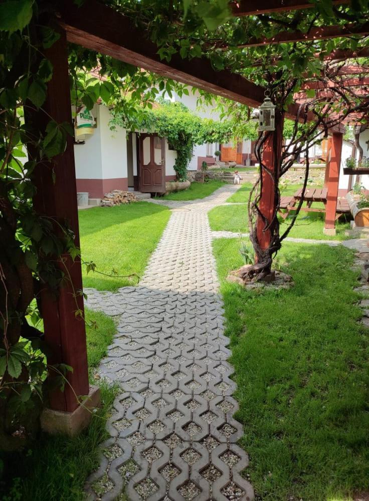 Apartment Statek U Stastku